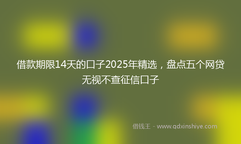 借款期限14天的口子2025年精选，盘点五个网贷无视不查征信口子