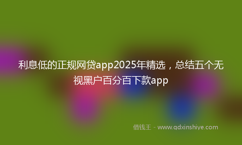 利息低的正规网贷app2025年精选，总结五个无视黑户百分百下款app