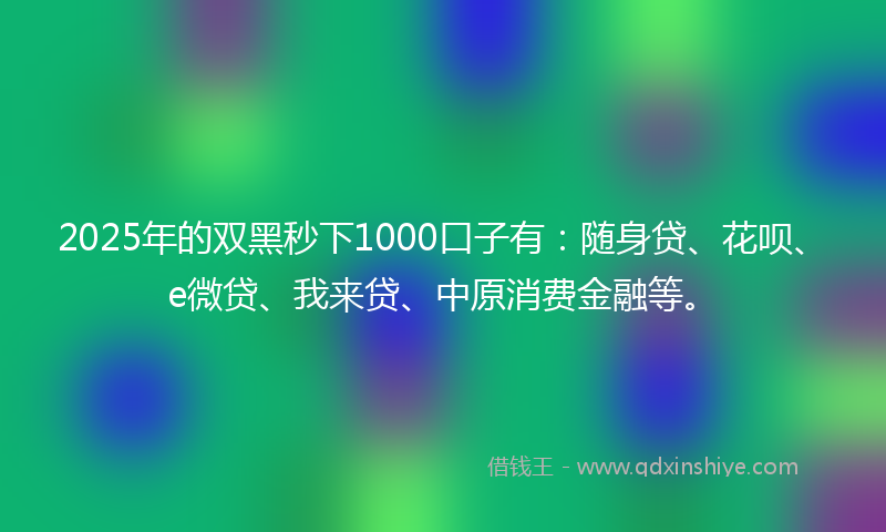 2025年的双黑秒下1000口子有：随身贷、花呗、e微贷、我来贷、中原消费金融等。