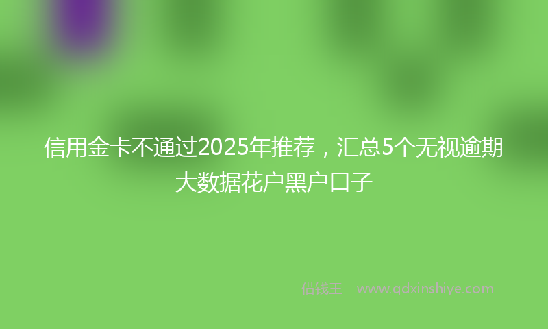 信用金卡不通过2025年推荐，汇总5个无视逾期大数据花户黑户口子