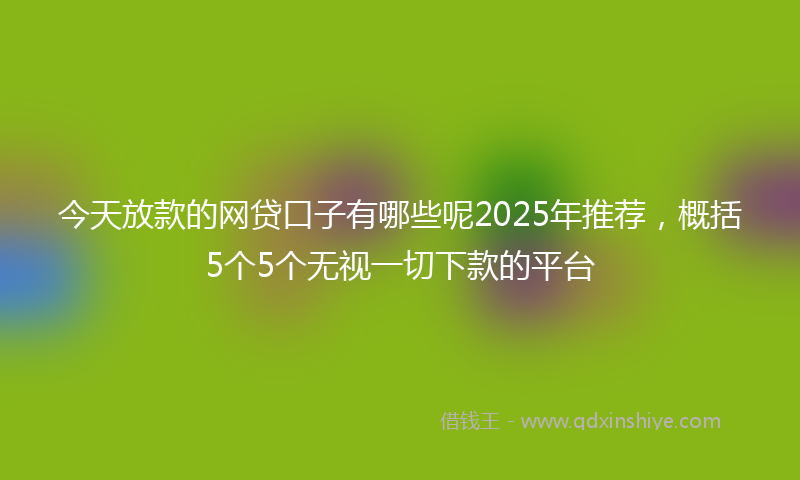 今天放款的网贷口子有哪些呢2025年推荐，概括5个5个无视一切下款的平台