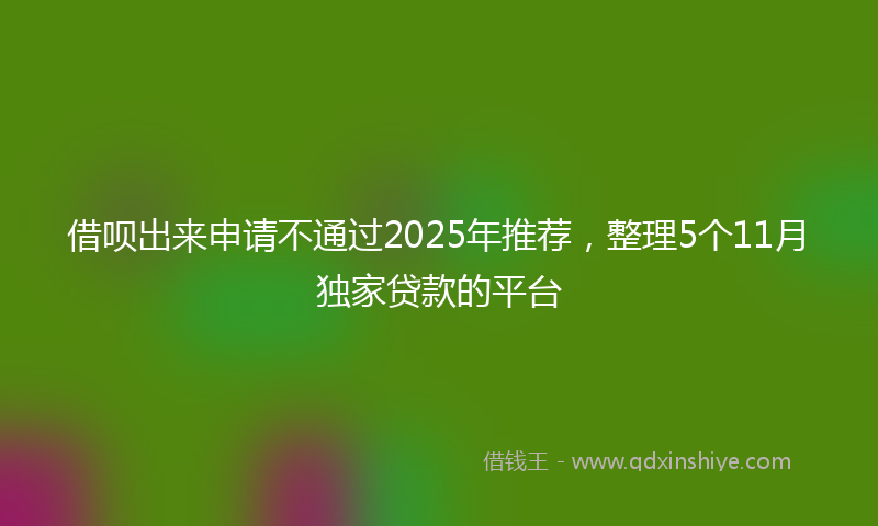 借呗出来申请不通过2025年推荐，整理5个11月独家贷款的平台