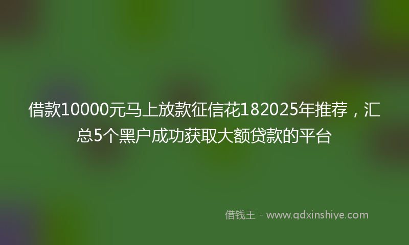 借款10000元马上放款征信花182025年推荐，汇总5个黑户成功获取大额贷款的平台