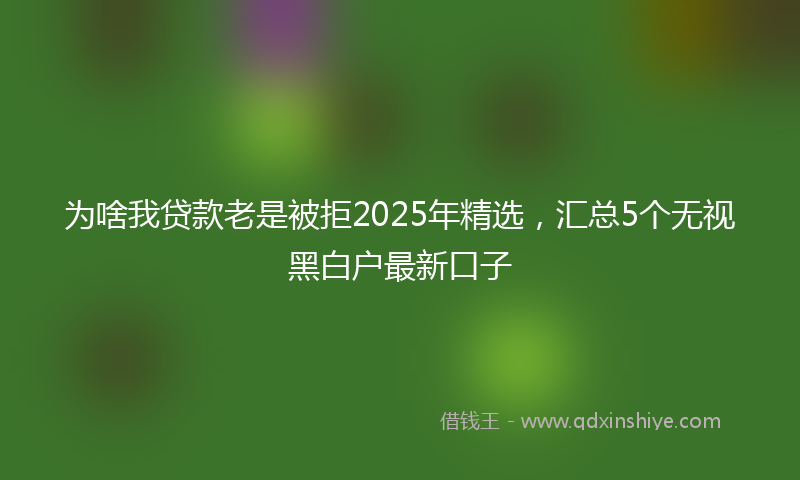 为啥我贷款老是被拒2025年精选，汇总5个无视黑白户最新口子