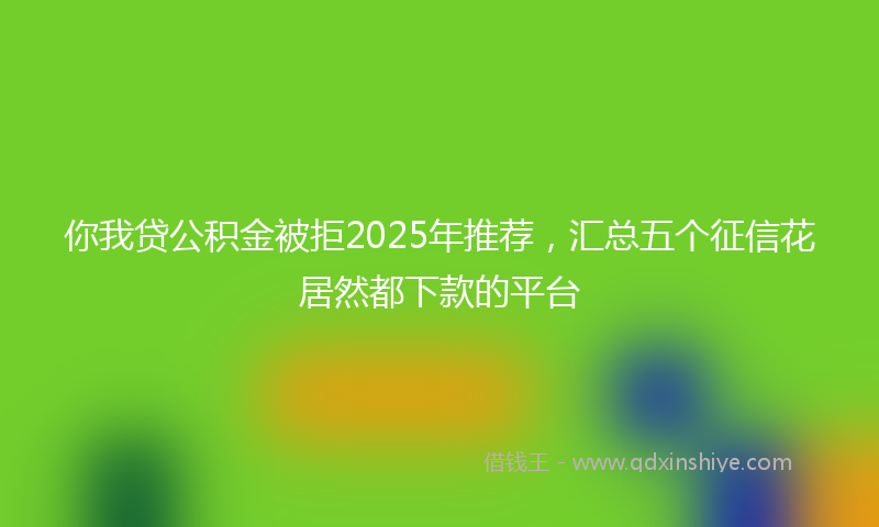 你我贷公积金被拒2025年推荐，汇总五个征信花居然都下款的平台