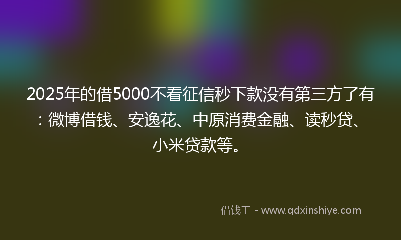 2025年的借5000不看征信秒下款没有第三方了有：微博借钱、安逸花、中原消费金融、读秒贷、小米贷款等。