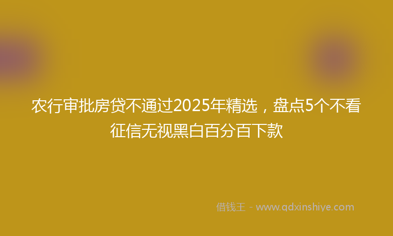 农行审批房贷不通过2025年精选，盘点5个不看征信无视黑白百分百下款