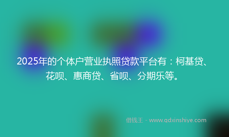 2025年的个体户营业执照贷款平台有：柯基贷、花呗、惠商贷、省呗、分期乐等。