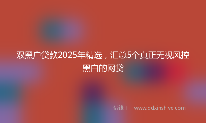 双黑户贷款2025年精选，汇总5个真正无视风控黑白的网贷