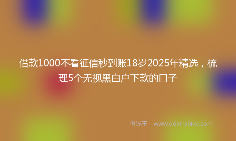 借款1000不看征信秒到账18岁2025年精选，梳理5个无视黑白户下款的口子