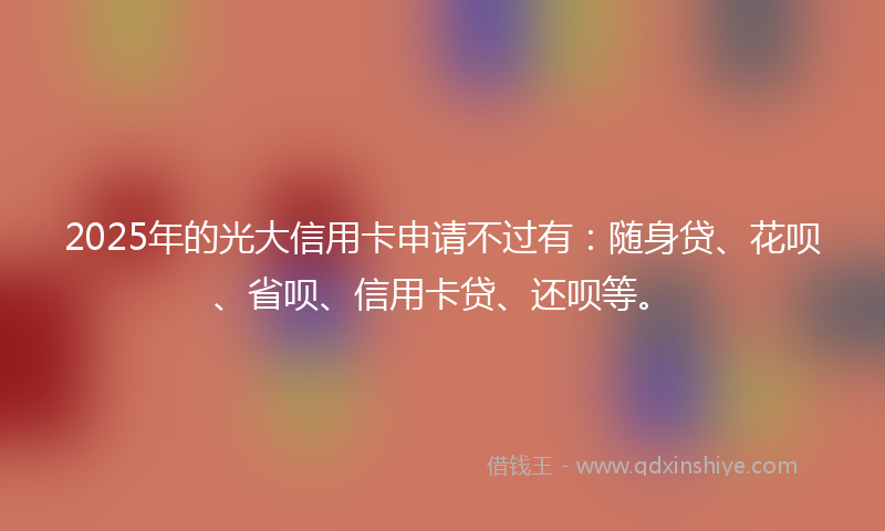 2025年的光大信用卡申请不过有：随身贷、花呗、省呗、信用卡贷、还呗等。