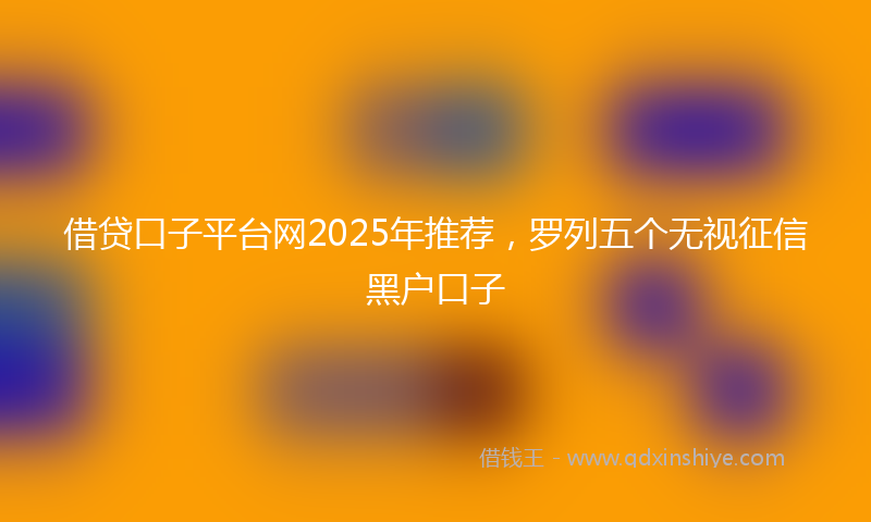 借贷口子平台网2025年推荐，罗列五个无视征信黑户口子