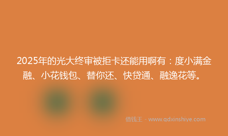 2025年的光大终审被拒卡还能用啊有：度小满金融、小花钱包、替你还、快贷通、融逸花等。