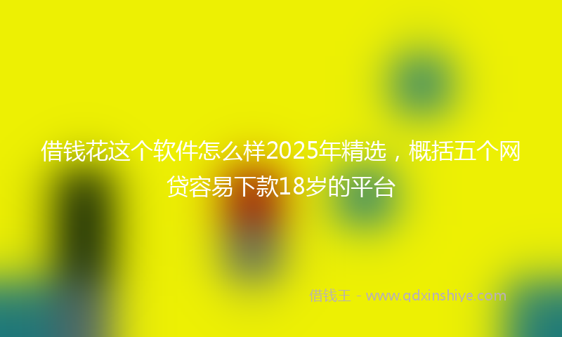 借钱花这个软件怎么样2025年精选，概括五个网贷容易下款18岁的平台