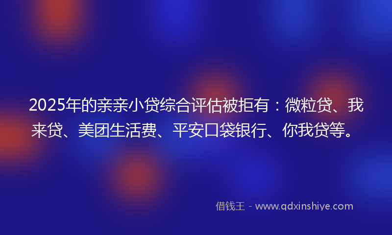 2025年的亲亲小贷综合评估被拒有：微粒贷、我来贷、美团生活费、平安口袋银行、你我贷等。