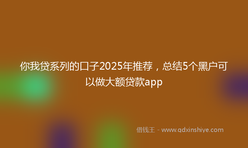 你我贷系列的口子2025年推荐，总结5个黑户可以做大额贷款app