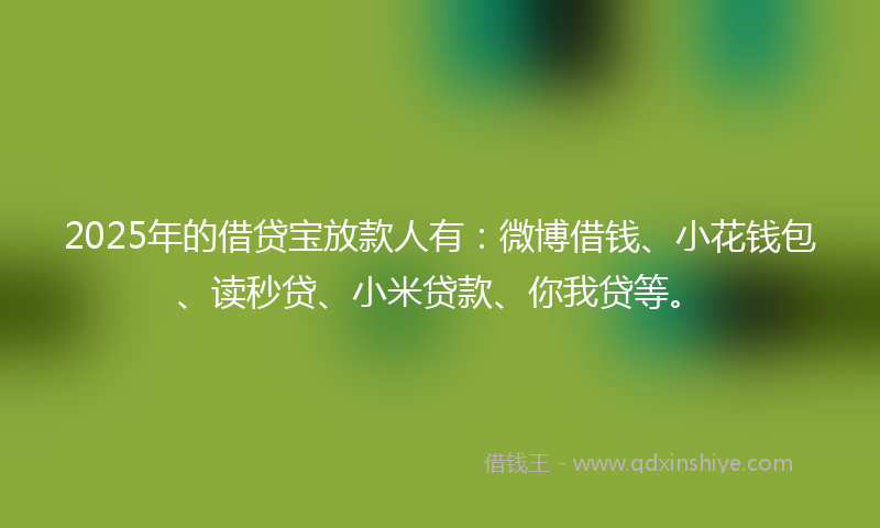 2025年的借贷宝放款人有：微博借钱、小花钱包、读秒贷、小米贷款、你我贷等。