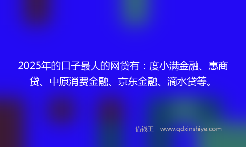 2025年的口子最大的网贷有：度小满金融、惠商贷、中原消费金融、京东金融、滴水贷等。