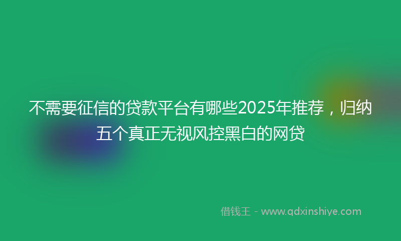 不需要征信的贷款平台有哪些2025年推荐，归纳五个真正无视风控黑白的网贷