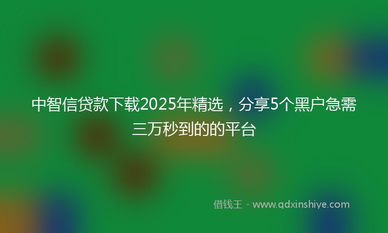 中智信贷款下载2025年精选，分享5个黑户急需三万秒到的的平台