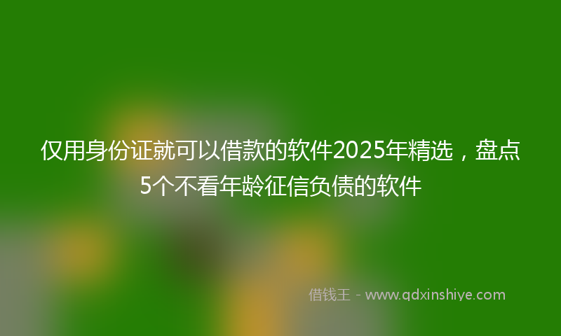 仅用身份证就可以借款的软件2025年精选，盘点5个不看年龄征信负债的软件