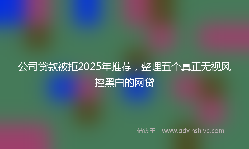 公司贷款被拒2025年推荐，整理五个真正无视风控黑白的网贷