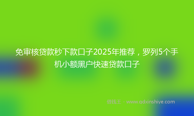 免审核贷款秒下款口子2025年推荐，罗列5个手机小额黑户快速贷款口子