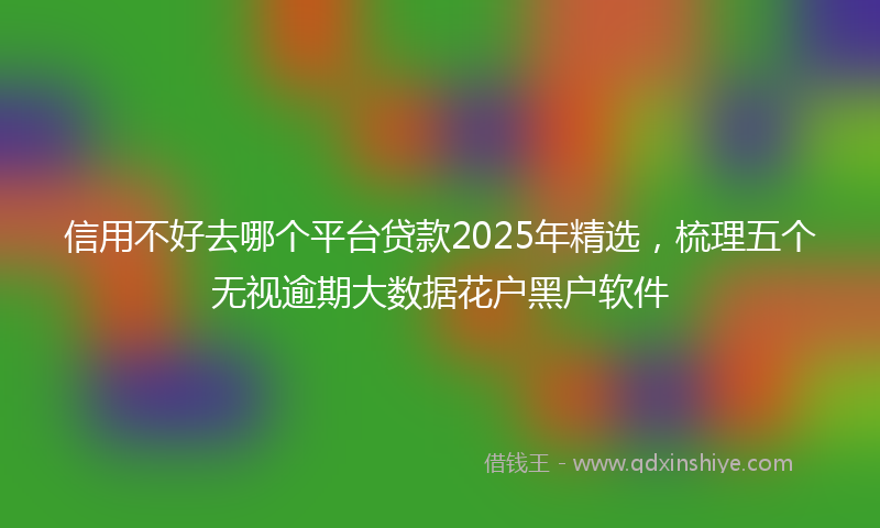 信用不好去哪个平台贷款2025年精选，梳理五个无视逾期大数据花户黑户软件