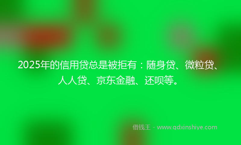 2025年的信用贷总是被拒有：随身贷、微粒贷、人人贷、京东金融、还呗等。