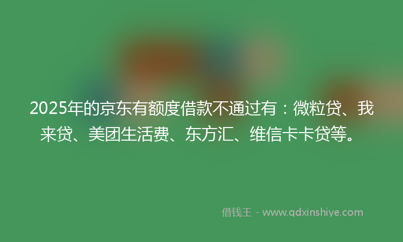2025年的京东有额度借款不通过有：微粒贷、我来贷、美团生活费、东方汇、维信卡卡贷等。