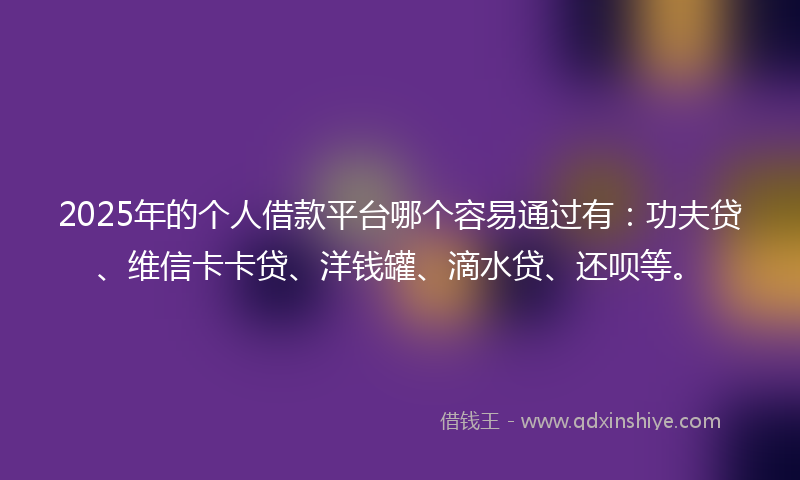 2025年的个人借款平台哪个容易通过有：功夫贷、维信卡卡贷、洋钱罐、滴水贷、还呗等。
