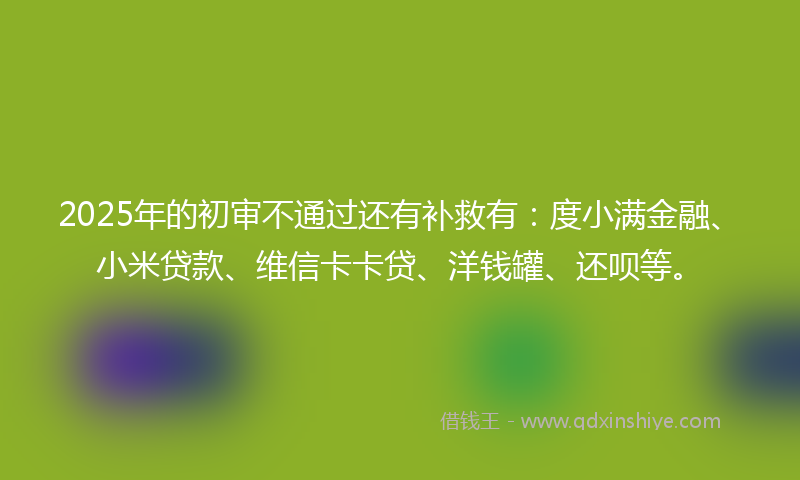 2025年的初审不通过还有补救有：度小满金融、小米贷款、维信卡卡贷、洋钱罐、还呗等。