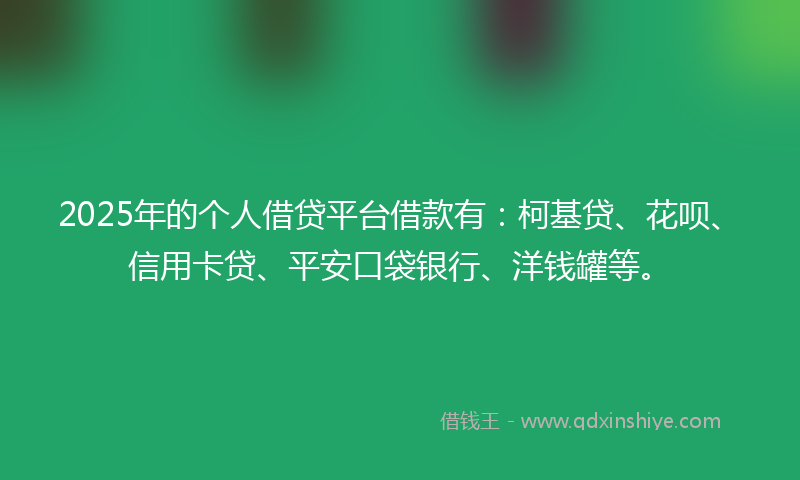2025年的个人借贷平台借款有：柯基贷、花呗、信用卡贷、平安口袋银行、洋钱罐等。