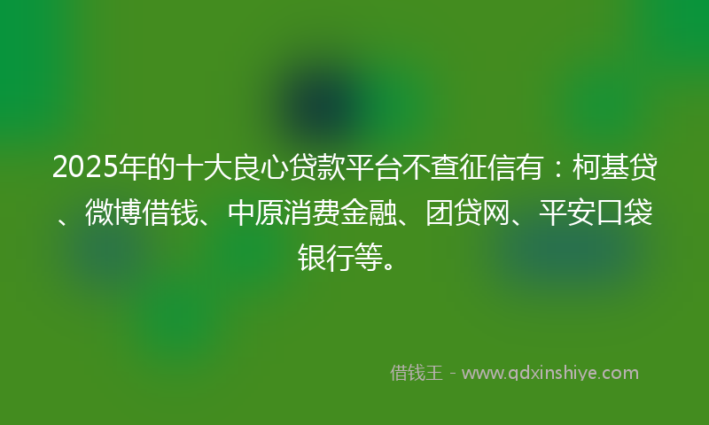 2025年的十大良心贷款平台不查征信有：柯基贷、微博借钱、中原消费金融、团贷网、平安口袋银行等。