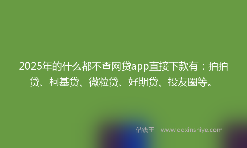2025年的什么都不查网贷app直接下款有：拍拍贷、柯基贷、微粒贷、好期贷、投友圈等。