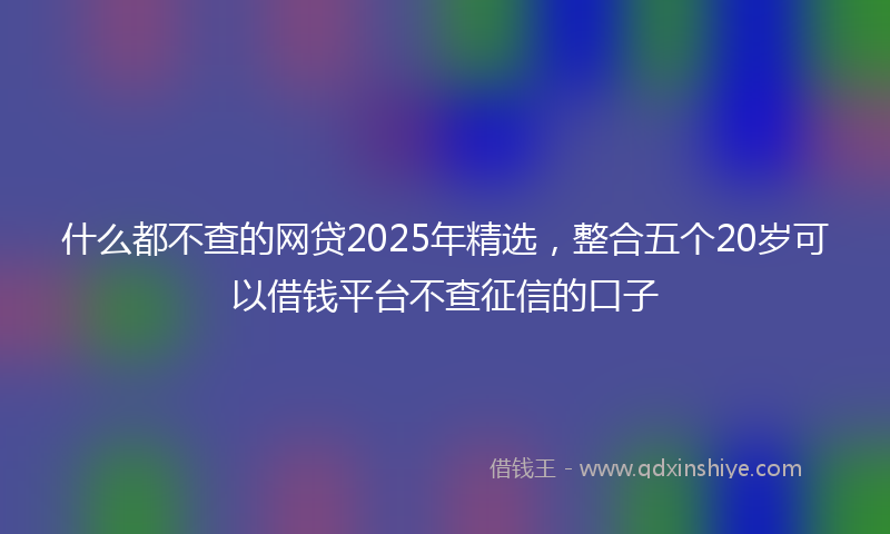 什么都不查的网贷2025年精选，整合五个20岁可以借钱平台不查征信的口子
