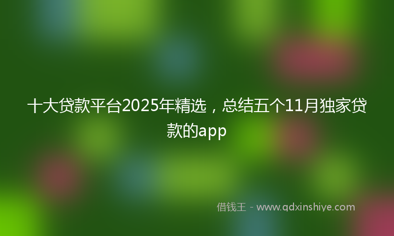 十大贷款平台2025年精选，总结五个11月独家贷款的app