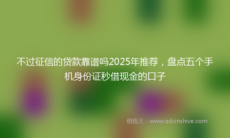不过征信的贷款靠谱吗2025年推荐，盘点五个手机身份证秒借现金的口子