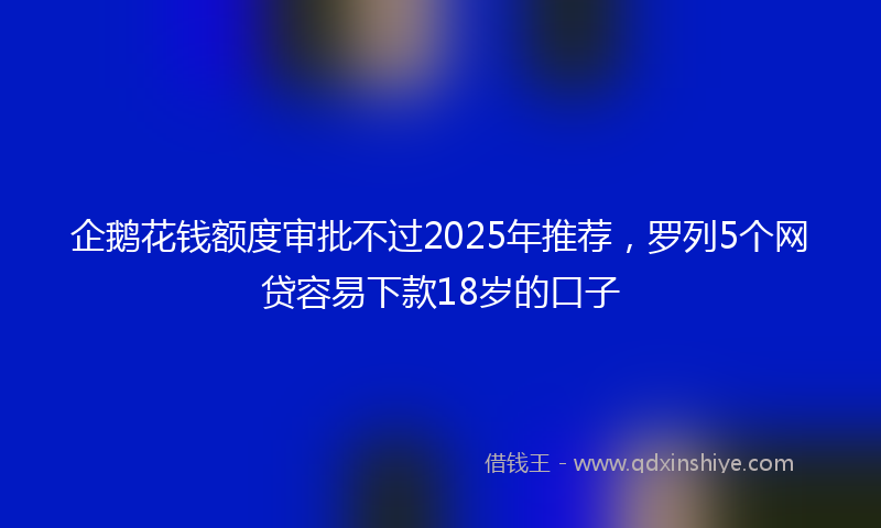 企鹅花钱额度审批不过2025年推荐，罗列5个网贷容易下款18岁的口子