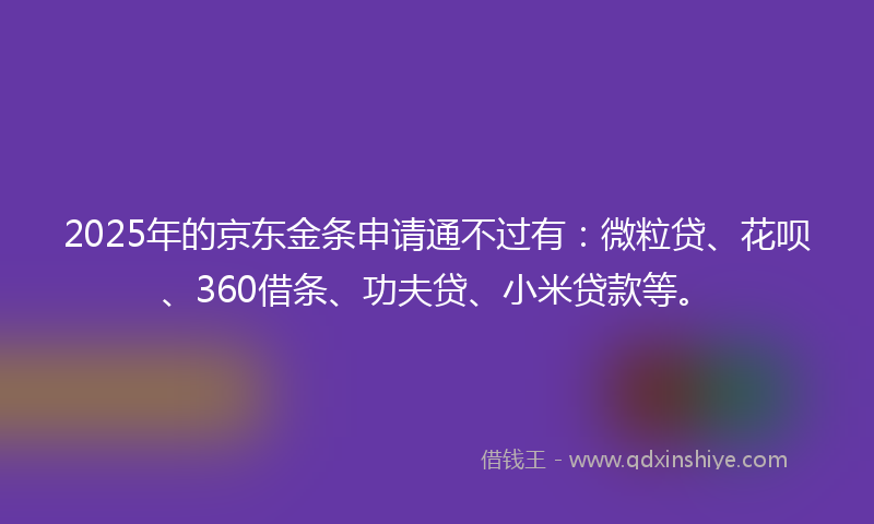 2025年的京东金条申请通不过有：微粒贷、花呗、360借条、功夫贷、小米贷款等。
