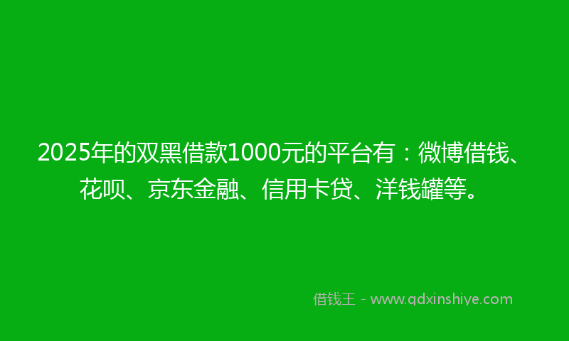 2025年的双黑借款1000元的平台有：微博借钱、花呗、京东金融、信用卡贷、洋钱罐等。