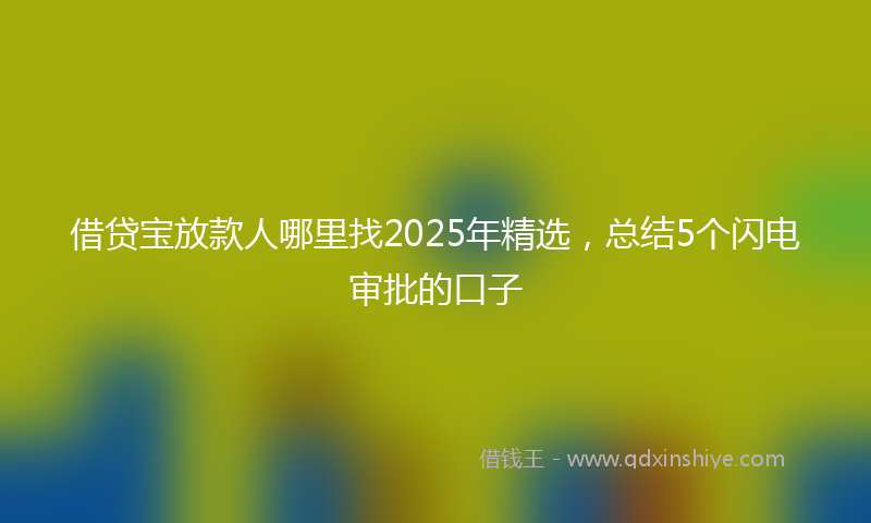 借贷宝放款人哪里找2025年精选，总结5个闪电审批的口子