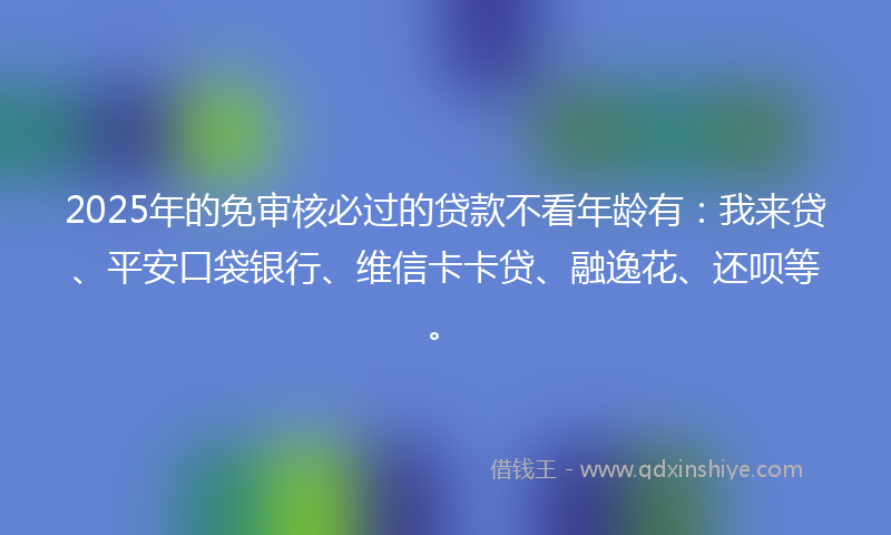 2025年的免审核必过的贷款不看年龄有：我来贷、平安口袋银行、维信卡卡贷、融逸花、还呗等。