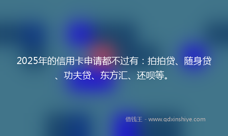 2025年的信用卡申请都不过有：拍拍贷、随身贷、功夫贷、东方汇、还呗等。