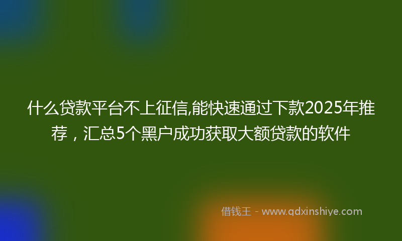 什么贷款平台不上征信,能快速通过下款2025年推荐，汇总5个黑户成功获取大额贷款的软件