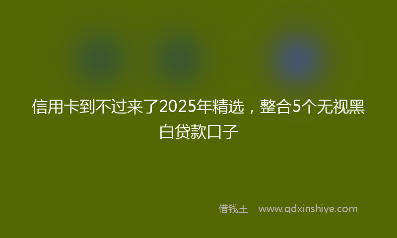信用卡到不过来了2025年精选，整合5个无视黑白贷款口子