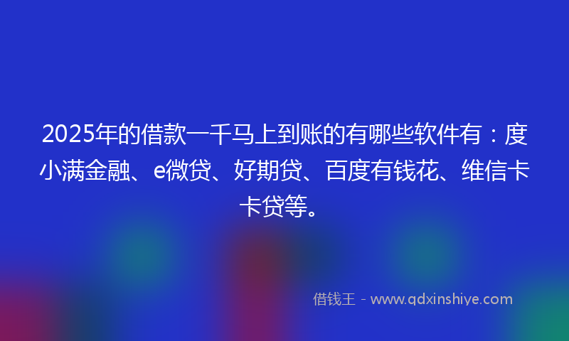 2025年的借款一千马上到账的有哪些软件有：度小满金融、e微贷、好期贷、百度有钱花、维信卡卡贷等。
