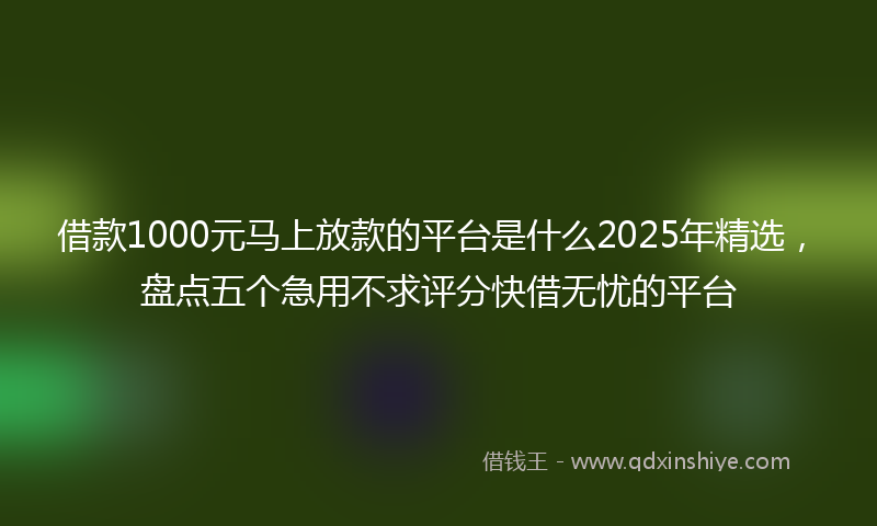 借款1000元马上放款的平台是什么2025年精选，盘点五个急用不求评分快借无忧的平台