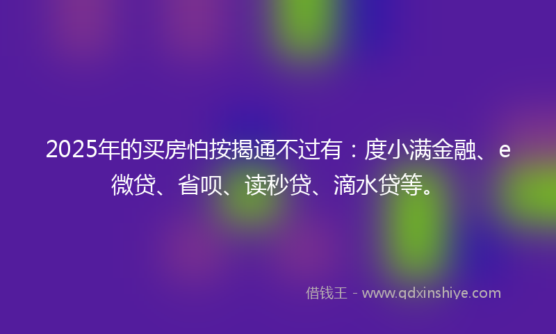 2025年的买房怕按揭通不过有：度小满金融、e微贷、省呗、读秒贷、滴水贷等。