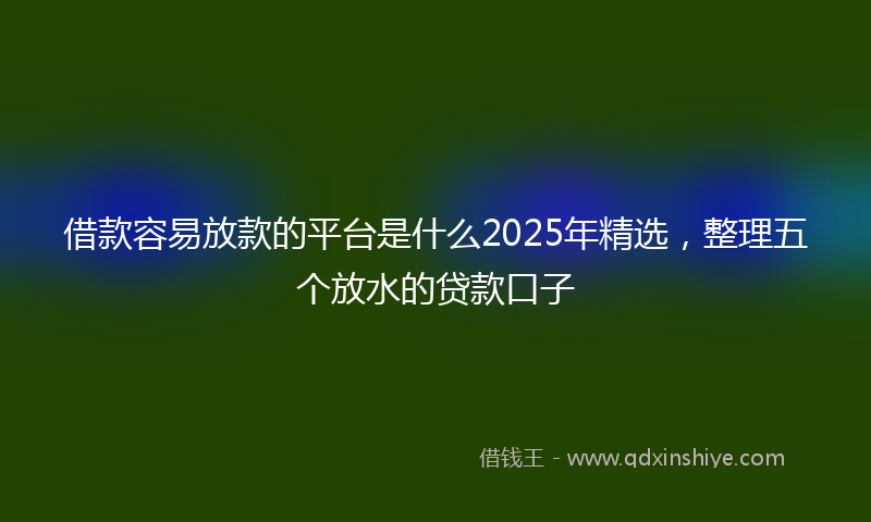 借款容易放款的平台是什么2025年精选，整理五个放水的贷款口子